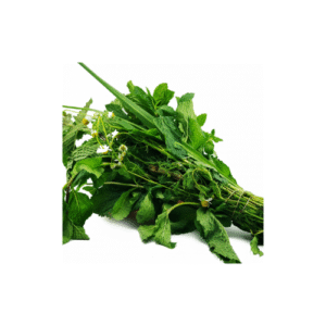 AROMATICA ATADO UNIDAD