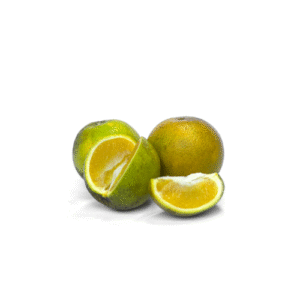 NARANJA VALENCIA LIBRA