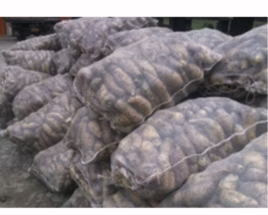 ARRACACHA BULTO X55 KILOS