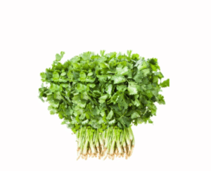 CILANTRO ATADO X7 KILOS