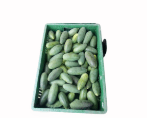 CURUBA CANASTILLA X20 KILOS