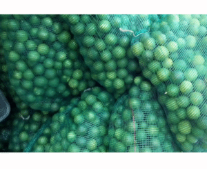 LIMON BULTO X67 KILOS