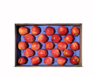 MANZANA ROJA CAJA X120 UNIDADES