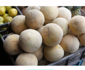 MELON CANASTILLA X20 KILOS