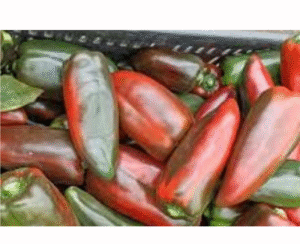 PIMENTON CAJA X11 KILOS