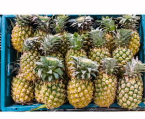 PIÑA MAYANES CANASTILLA X20 KILOS
