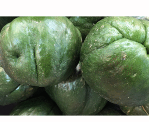 GUATILA ARROBA X12.5 KILOS