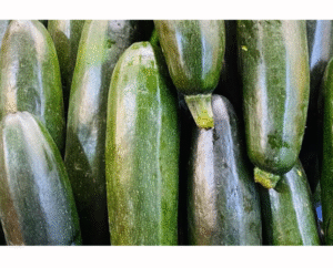 ZUCHINI VERDE BOLSA X19 KILOS