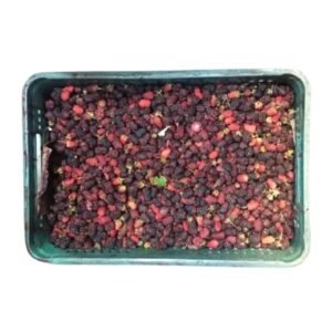 MORA CANASTILLA X10 KILOS