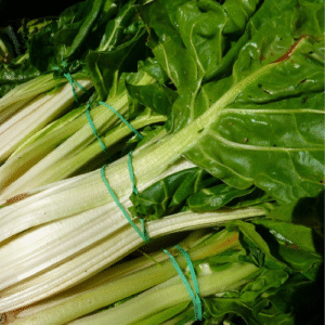 ACELGA ROLLO COMPLETO