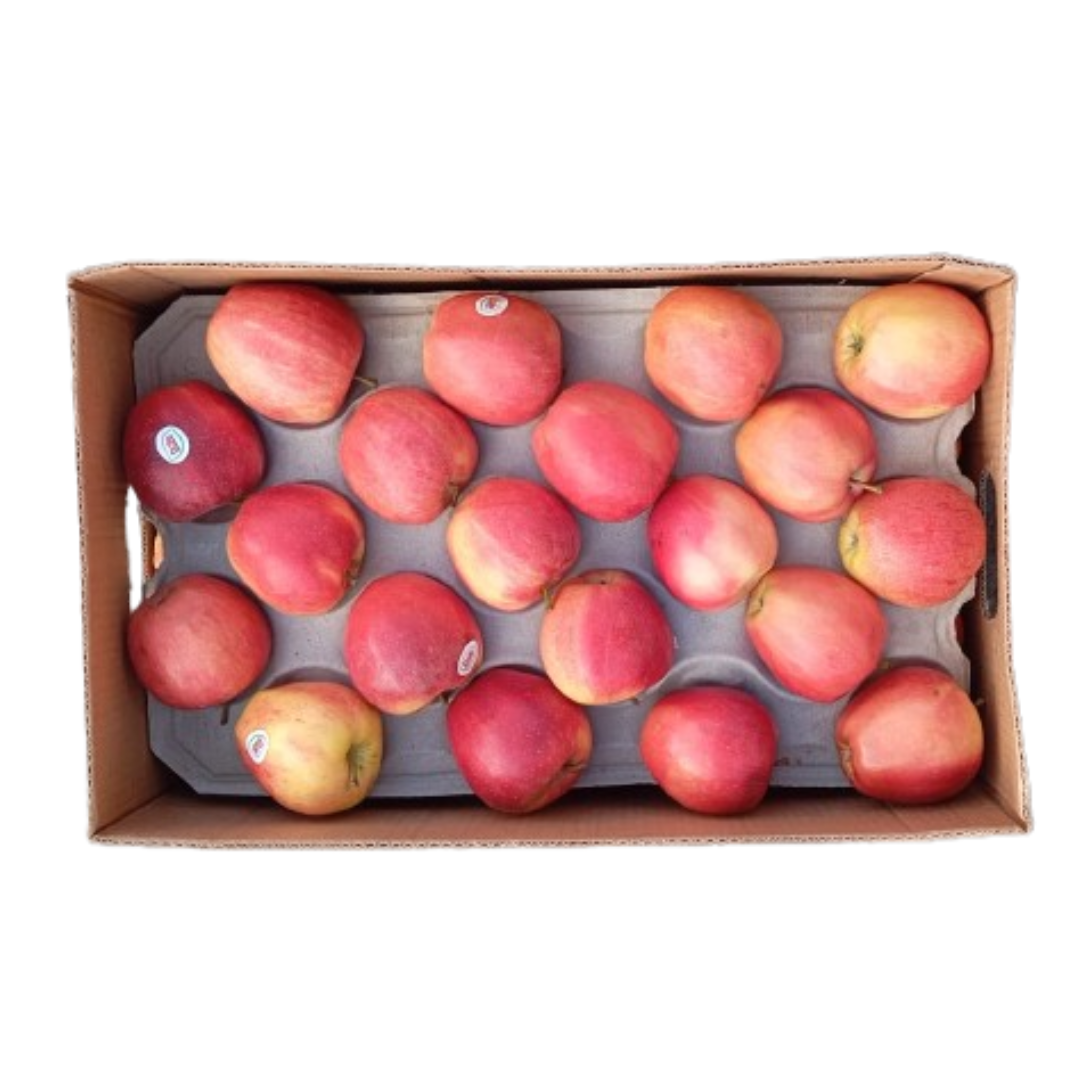 MANZANA ROJA CAJA X120 UNIDADES