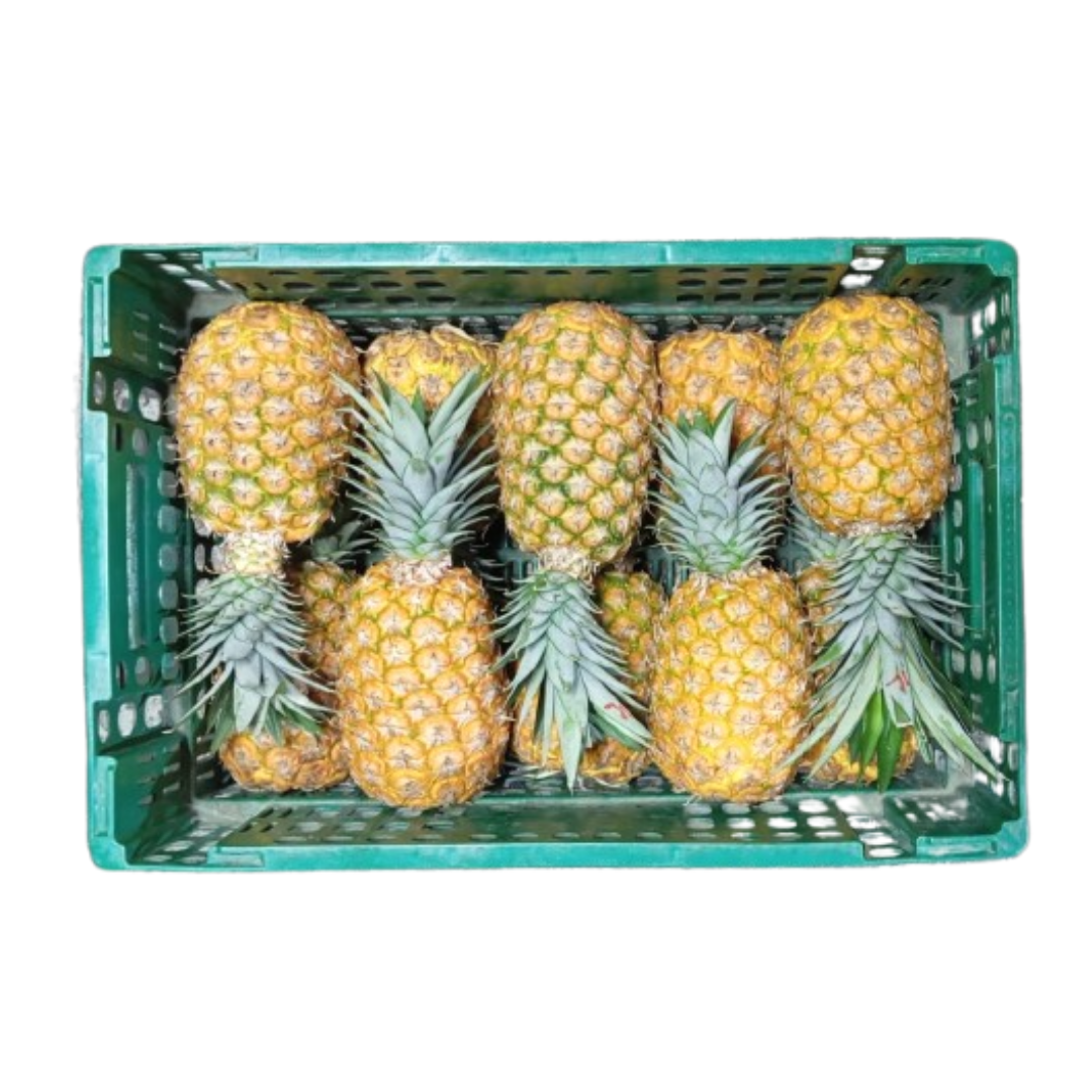 PIÑA GOLDEN CANASTILLA X20 KILOS