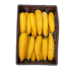 ZUCHINI AMARILLO BOLSA X19 KILOS