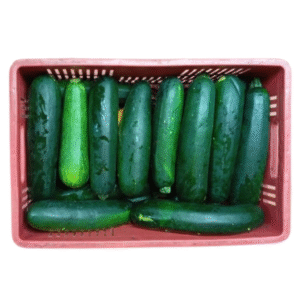ZUCHINI VERDE BOLSA X19 KILOS