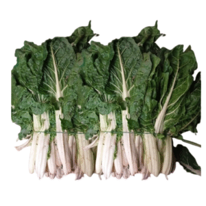 ACELGA ROLLO COMPLETO