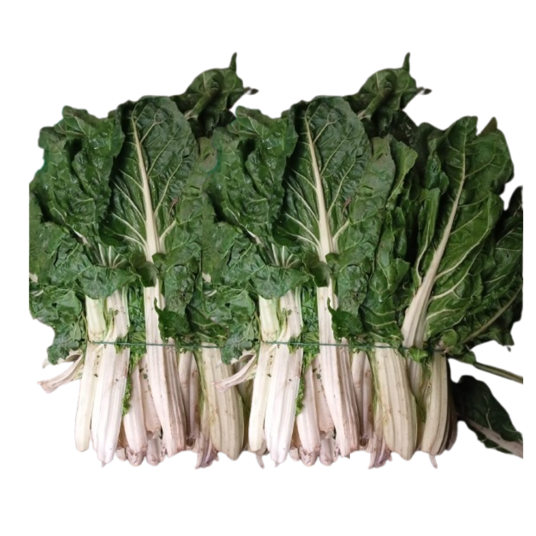 ACELGA ROLLO COMPLETO