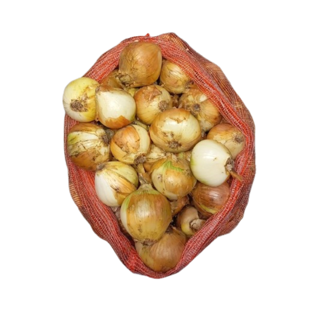 CEBOLLA CABEZONA ARROBA X12.5 KILOS