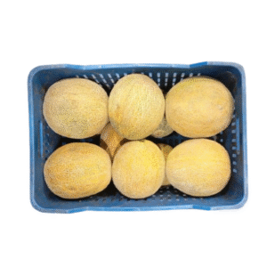 MELON CANASTILLA X20 KILOS
