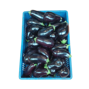 BERENJENA CAJA X10 KILOS