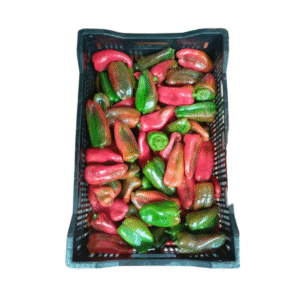 PIMENTON CAJA X11 KILOS