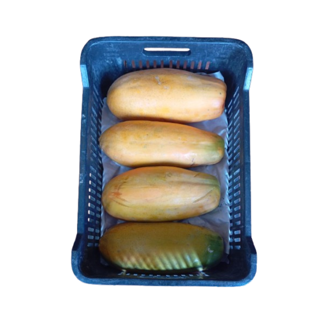 PAPAYA CANASTILLA X17 KILOS