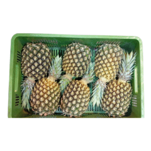 PIÑA MAYANES CANASTILLA X20 KILOS