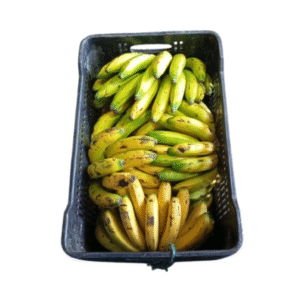 BANANO CRIOLLO CANASTILLA X20 KILOS