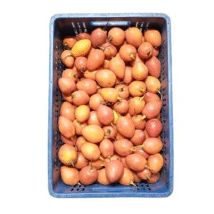 TOMATE ARBOL CANASTILLA X20 KILOS