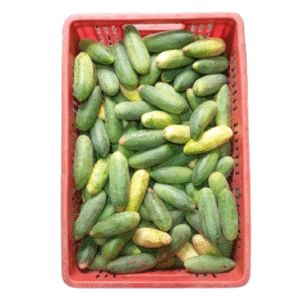 CURUBA CANASTILLA X20 KILOS