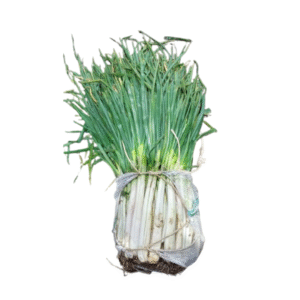 CEBOLLA LARGA ARROBA X12.5 KILOS