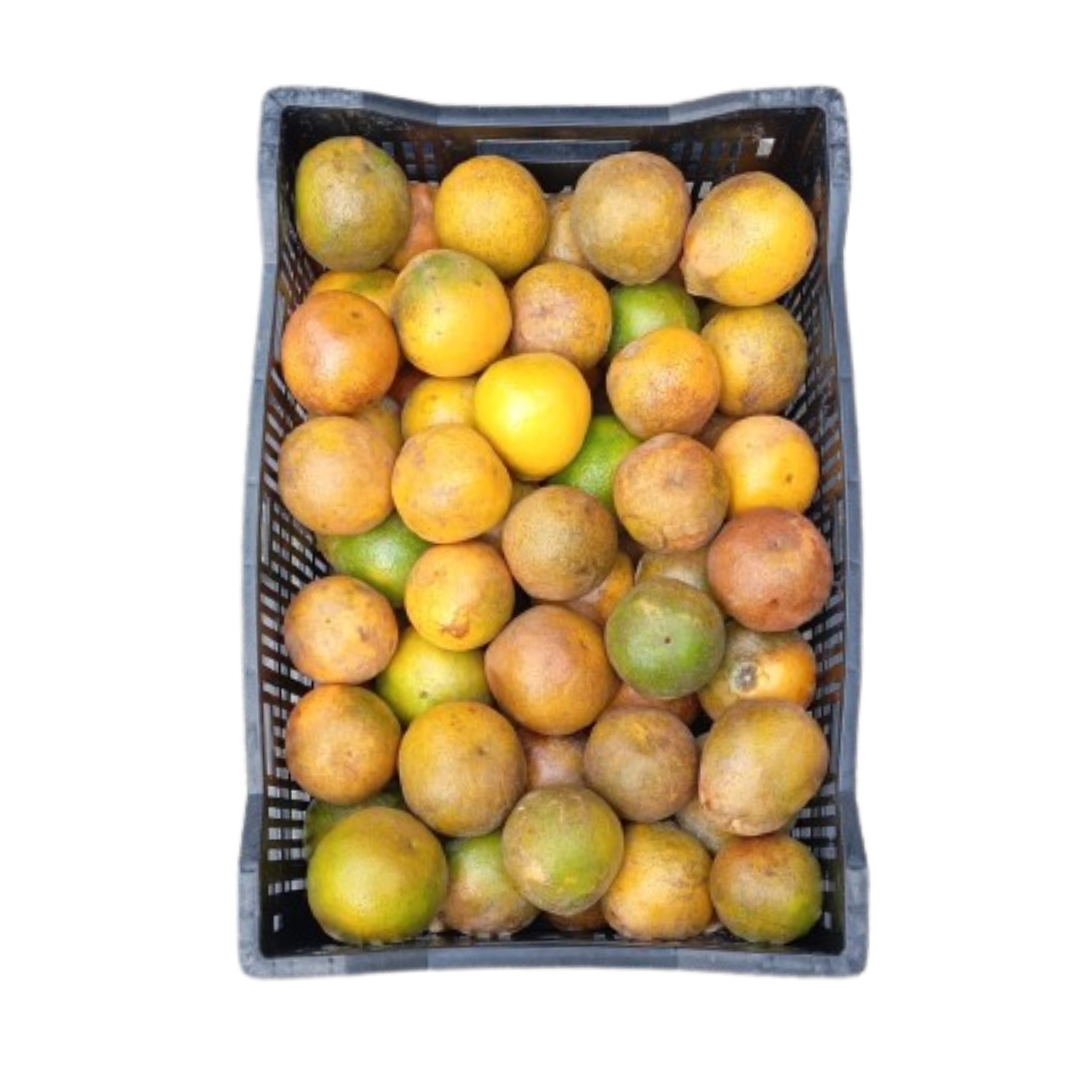 NARANJA TANGELO CANASTILLA X20 KILOS