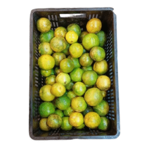 NARANJA VALENCIA CANASTILLA X20 KILOS