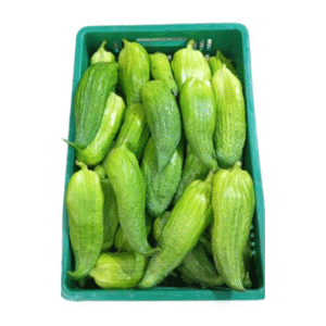 PEPINO GUISO CAJA X10 KILOS