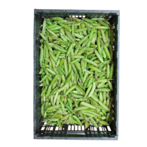 ARVERJA CASCARA ARROBA 12.5 KILOS