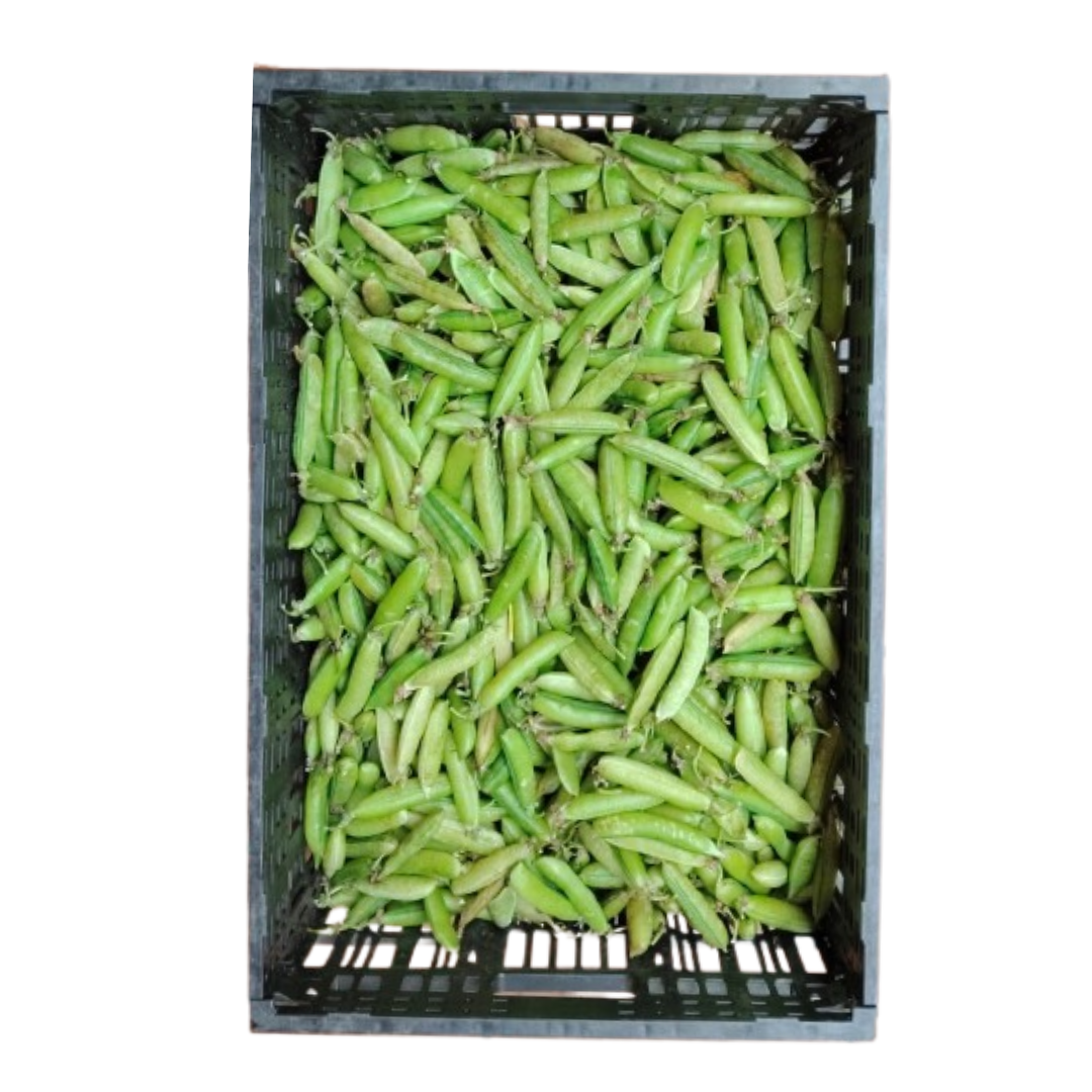 ARVERJA CASCARA ARROBA 12.5 KILOS