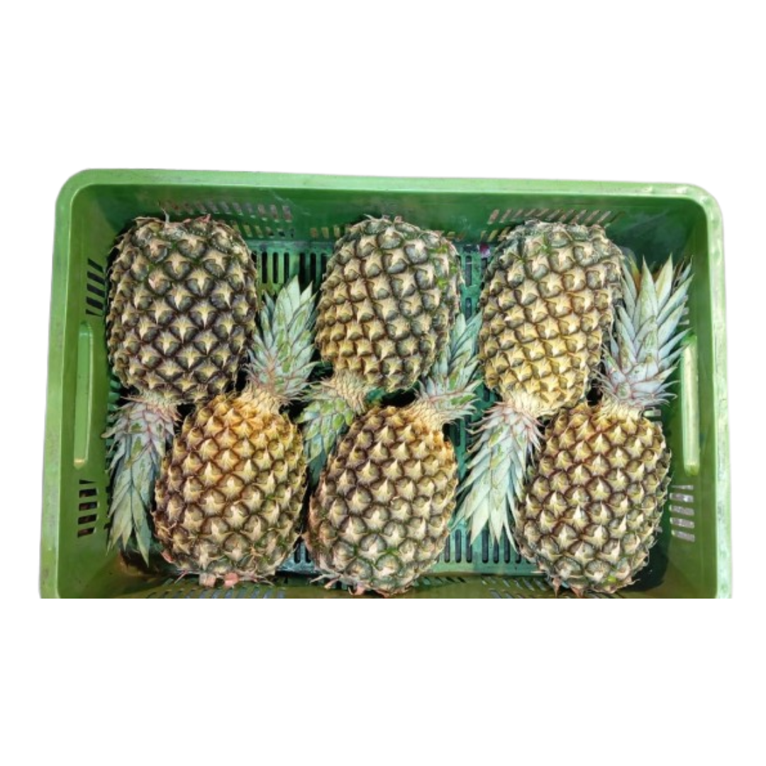 PIÑA MAYANES CANASTILLA X20 KILOS