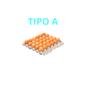 HUEVOS TIPO A
