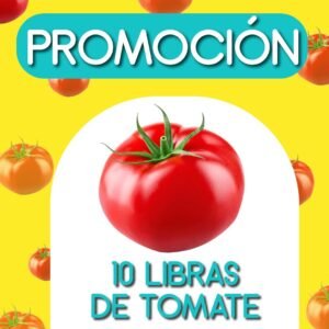 PROMOCION TOMATE CHONTO 10 LIBRAS