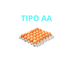 HUEVOS TIPO AA
