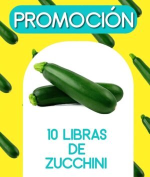 PROMOCION ZUCHINI VERDE 10 LIBRAS