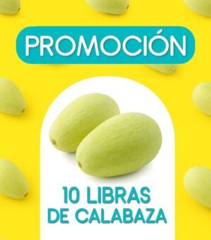 PROMOCION CALABAZA 15 LIBRAS