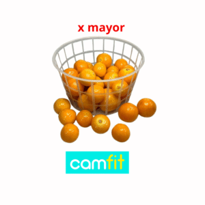 UCHUA UNIDAD X MAYOR