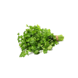 CILANTRO LIBRA