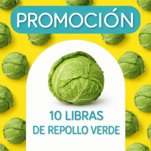 Promocion Repollo Verde x 10 Libras