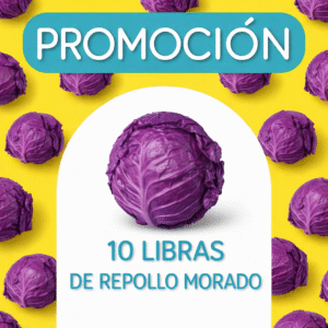 Promocion Repollo Morado x 10 Libras