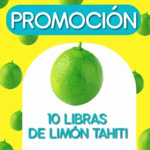 Promocion Limon x 10 libras
