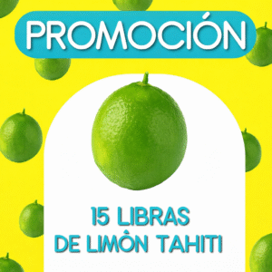 Promocion Limon x 15 libras