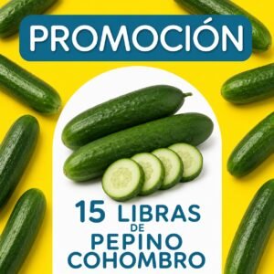 Promocion Pepino Cohombro x 10 libras