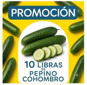 Promocion Pepino Cohombro x 10 libras