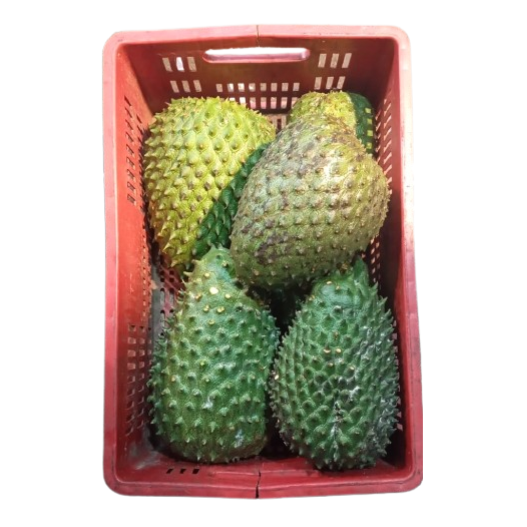 GUANABANA CANASTILLA  X 20 KILOS